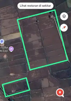 Dijual Sawah Produktif