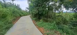 JUAL CEPAT BU LAHAN KEBUN DI DAYEUH,JONGGOL,BOGOR