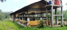 Jual tanah+kandang ayam siap pakai