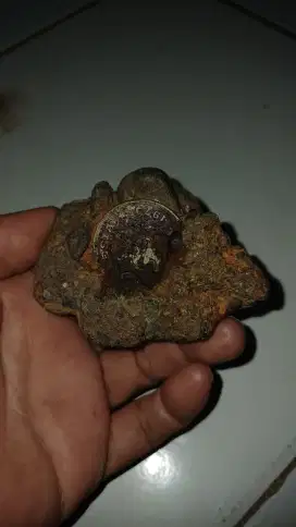 Koin menyatu dengan batu barang antik