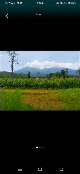 Tanah prigen deket cinory luas 1400m view gunung dan bukit bagua pol