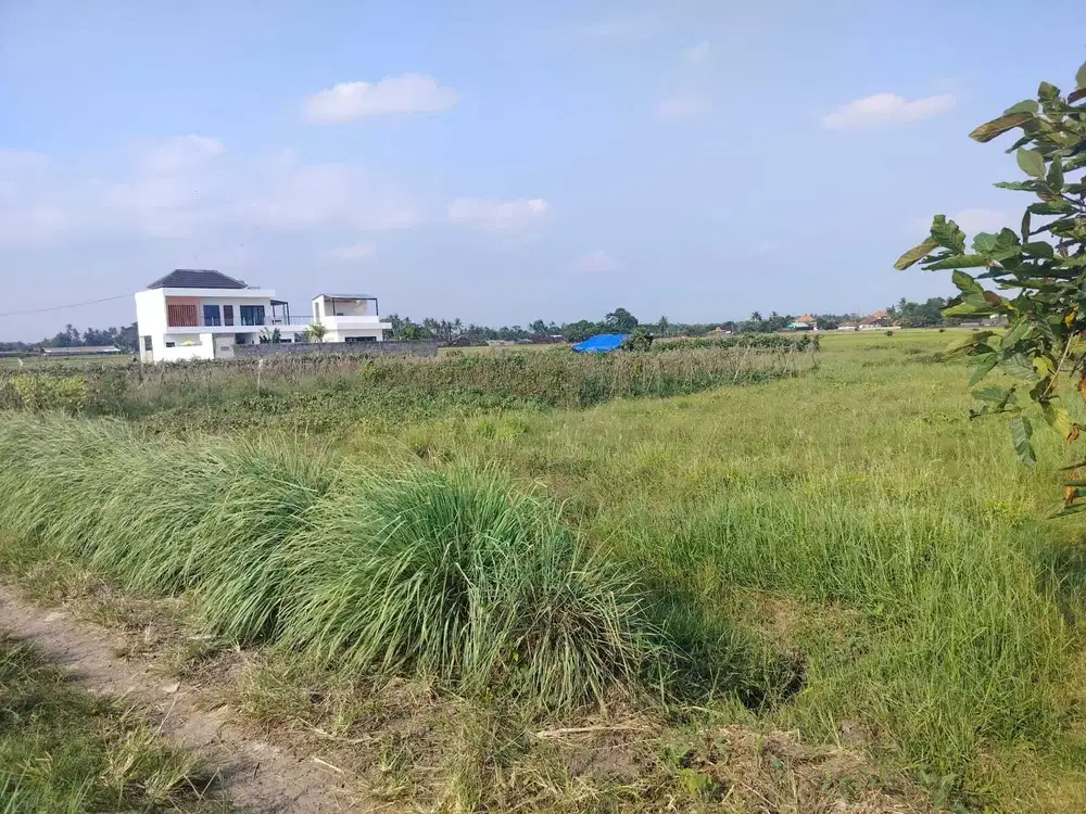 Dijual Tanah di Kelating, Tabanan, Bali