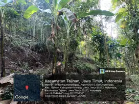 Tanah SHM Kebun Kopi Alpukat Dan POHON Jati Dijual di Tajinan Malang