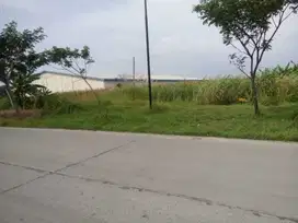 Tanah Industri Dijual SHM Langsung Pemilik di Onggorawe Kec Sayung Kab