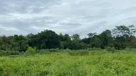 Di Jual Tanah Maja Banten