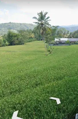 Tanah view persawahan menoreh pas tuk villa dan hunian