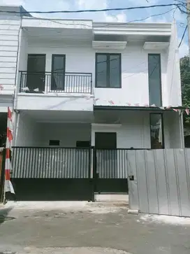 Rumah Baru Kebagusan kelapa hijau