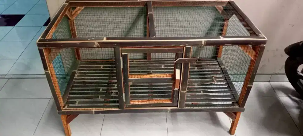 Kandang kucing ukuran 100 x 50