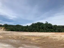 TNH RATA, LUAS TERMURAH 50 HA DI TG MORAWA DKT PABRIK CHAROENPOKPHAN 4