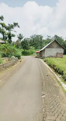 Dijual Tanah 5 Ha Nol Jalan Aspal di Jatisari Purwodadi. Zona Kuning