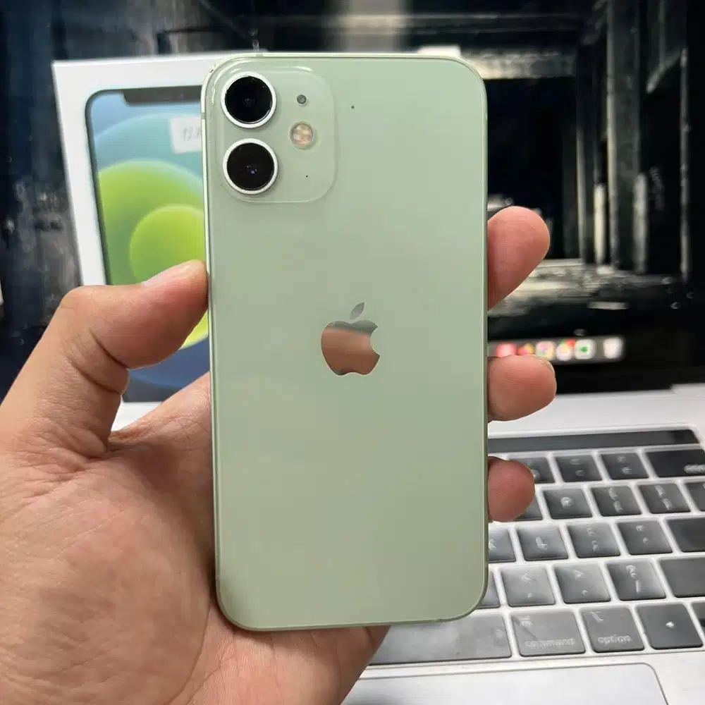 IPhone 12 mini 128 Gb Tosca Green Inter All Operator Normal