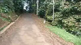 Dijual kebun murah 4860 m2 isi Durian & manggis