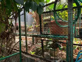 Lahan Tanah SHM 525m2 Dekat Taman Suropati Menteng Jakpus