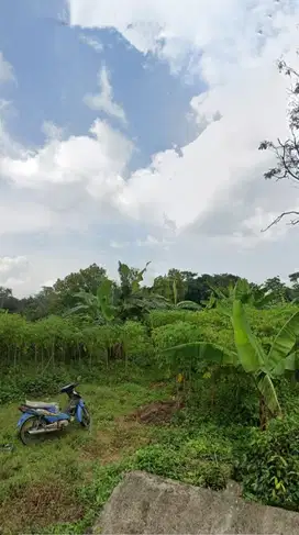 Jual tanah cilimus
