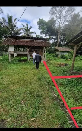TANAH KAVLING MURAH