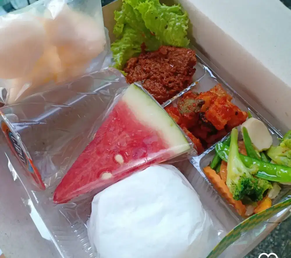 Aneka nasi kotak di bandar Lampung praktis ekonomis rasa nikmat