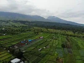 Jual Cepat Tanah Premium 6140m² SHM di Pintu Masuk Gunung Rinjani