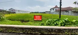 JUAL TANAH 2.425m2 PRAMBANAN, SLEMAN