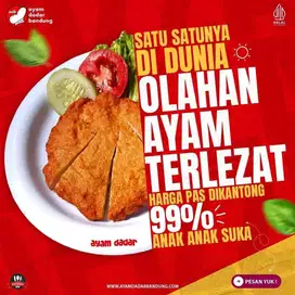 Franchise Kuliner Unik & Laris – Ayam Dadar Bandung (Modal Terjangkau)