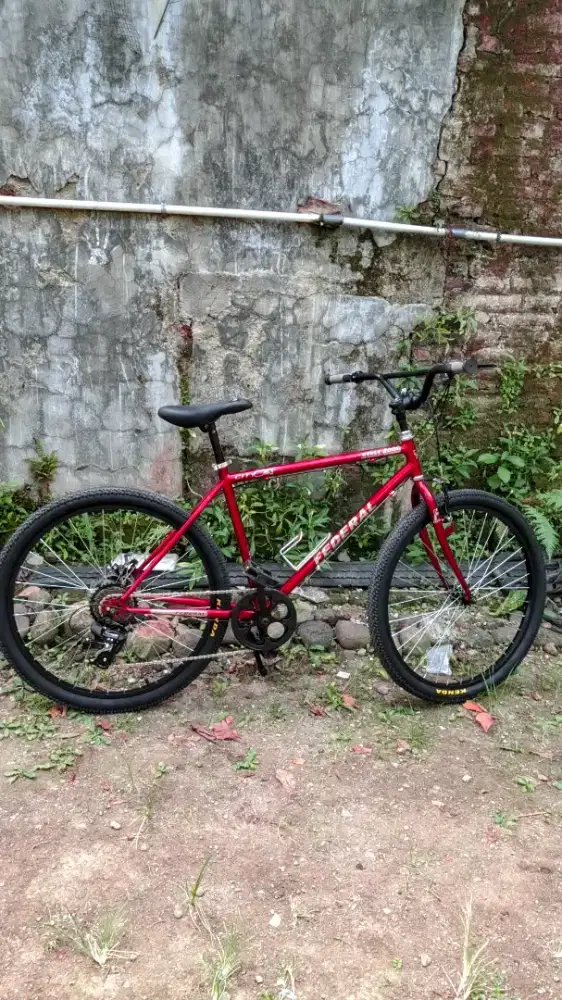 Sepeda federal uk 26 / 19 inch