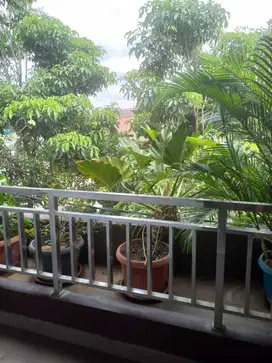 RUMAH FULL FULL FURNISHED KAYU JATI