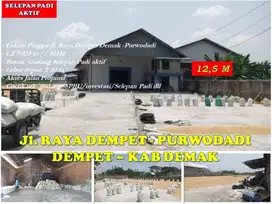 Tanah Selepan Padi & Gudang (Aktif) Jl. Raya Dempet Demak dkt Semarang