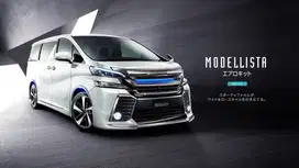 Side Body Cladding/Side Moulding Toyota Alphard/Vellfire