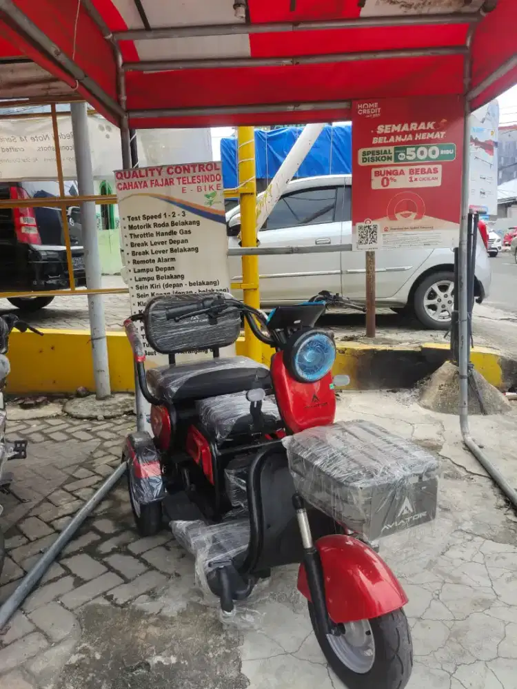 AT 230 ELECTRIC 3 RODA