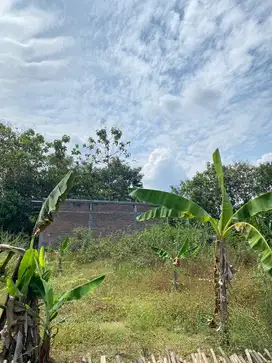 Bismillah dijual tanah luas 114m2 (BU)