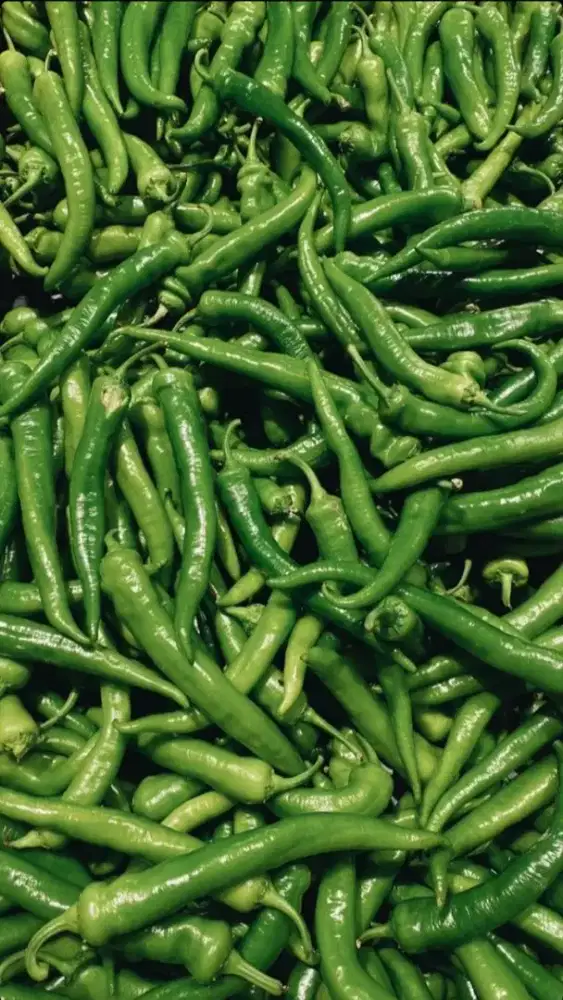 Cabe hijau fresh