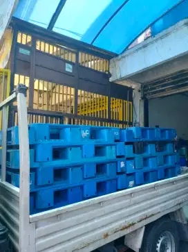 Pallet Plastik second bagus dan murah