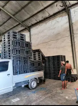 Pallet Plastik second bagus dan murah