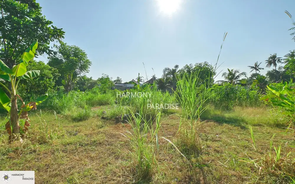 HP-NL15 Tanah 200m2 SHM di Temukus.Buleleng