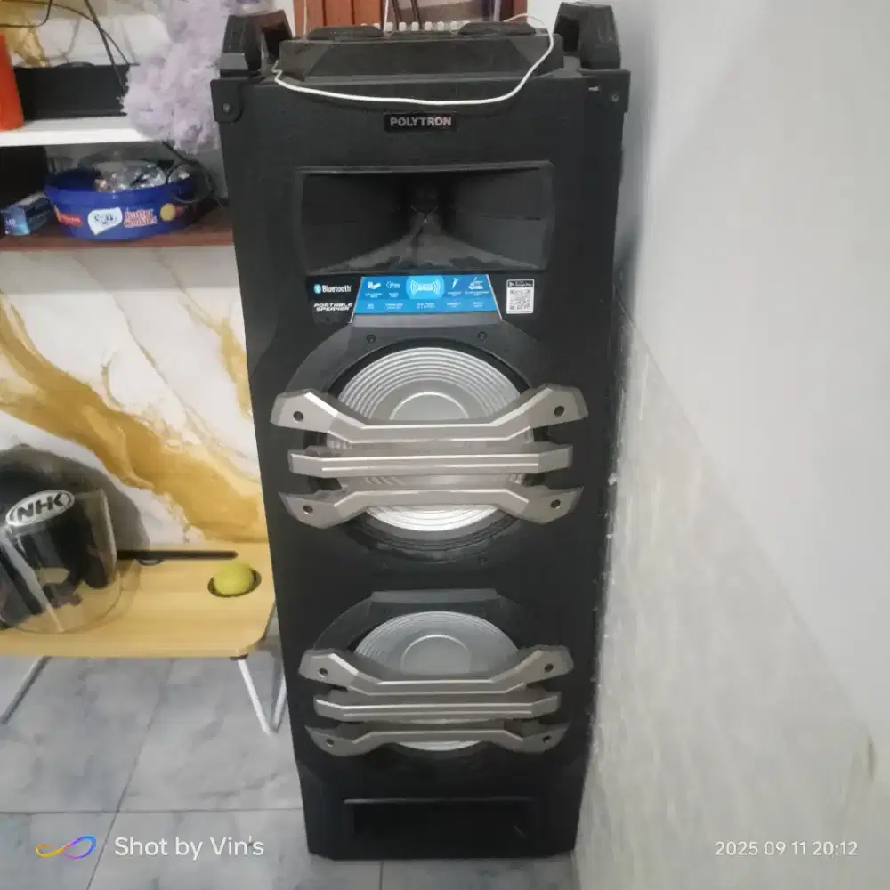 Speaker Polytron PTS 2K25