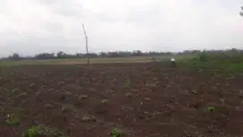 Dijual Murah Sekali, Tanah cck u/ Kebun, Cafe view gunung di Rancaekek