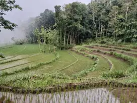Dijual Tanah Sawah View Perbukitan Menoreh