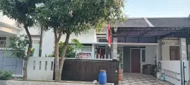 Di Sewa kan Rumah