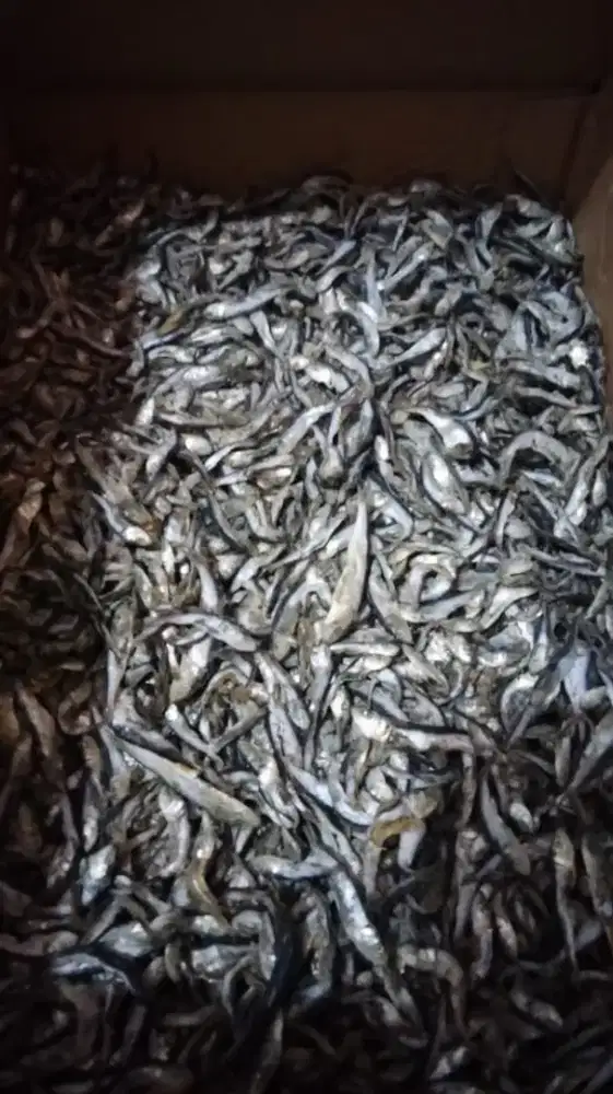 Menjual ikan asin