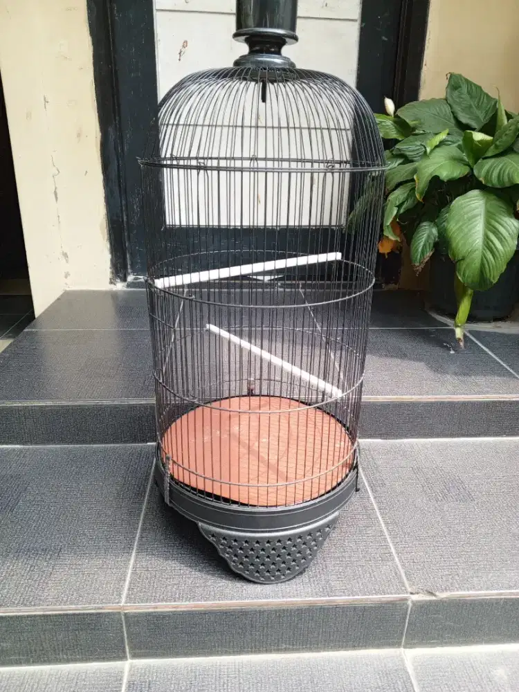 kandang lovebird