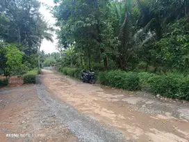 JUAL TANAH DI TEMON KULONPROGO MURAH