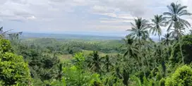 Tanah Kebun dengan view super bagus
