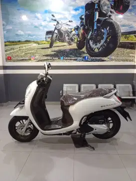 Scoopy prestige 2023