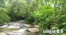 Tanah Murah Dekat Sungai Di Tutur Nongkojajar Purwodadi Pasuruan