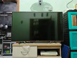 tv Polytron 43inc