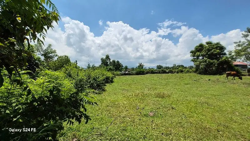 TANAH 20 ARE DATAR DAN ZONA KUNING DI AWEN LELATENG JEMBRANA