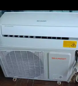 AC Sharp 1/2 PK