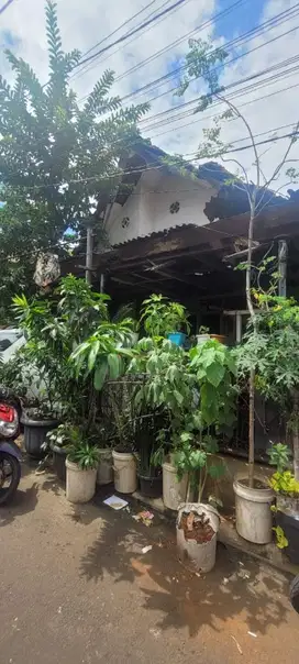Di Jual Rumah Tua Hitung Tanah di Rawamangun, Jakarta Timur.