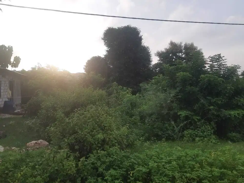 DIJUAL LAHAN KOSONG