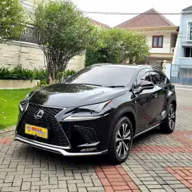 Lexus NX300 F-Sport 2.0AT 2018 Facelift