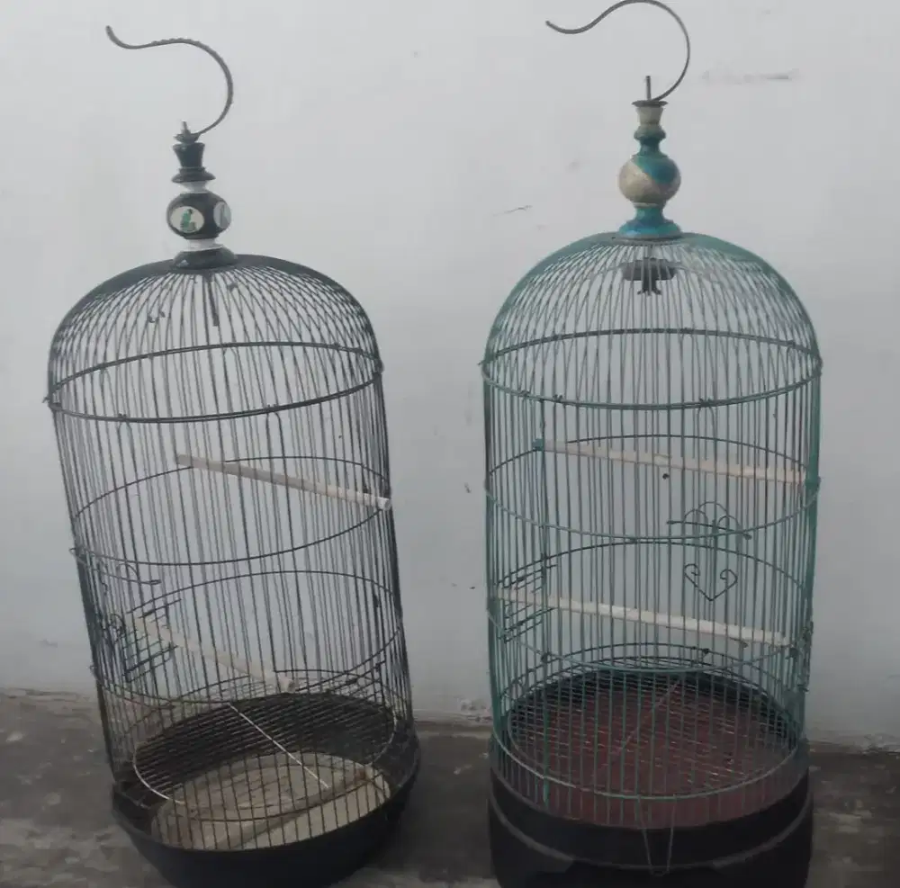 Jual kandang burung kapsul